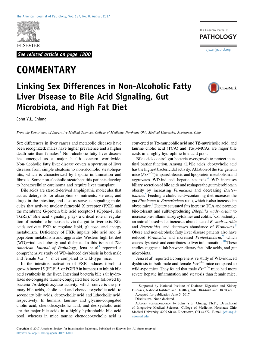 Pdf Linking Sex Differences In Non Alcoholic Fatty Liver