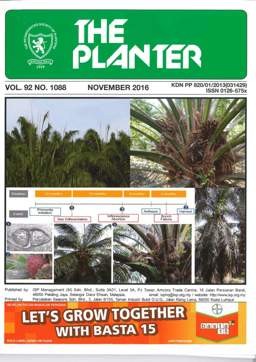 (PDF) Impact of El Nino on Palm Oil Production