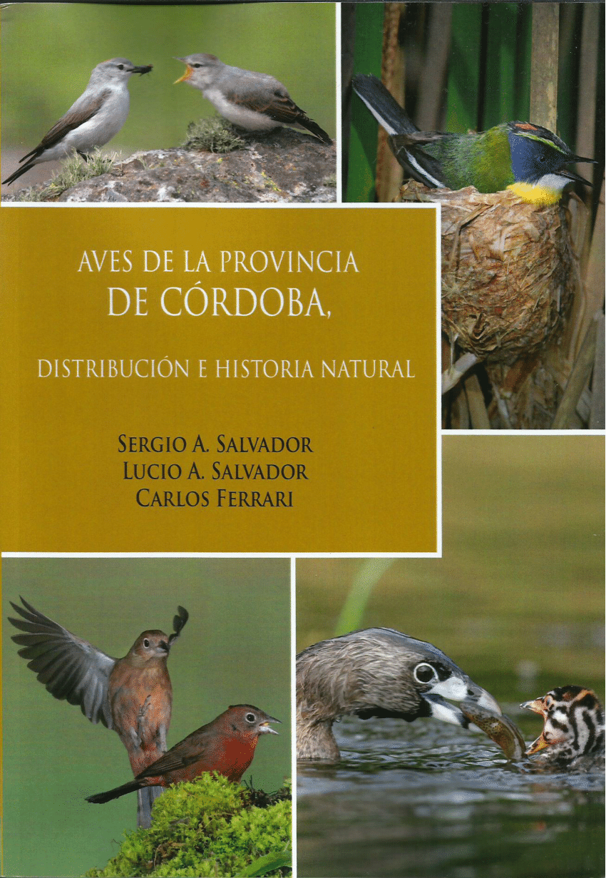 PDF) Acerca del español de Córdoba (Argentina). Rasgos