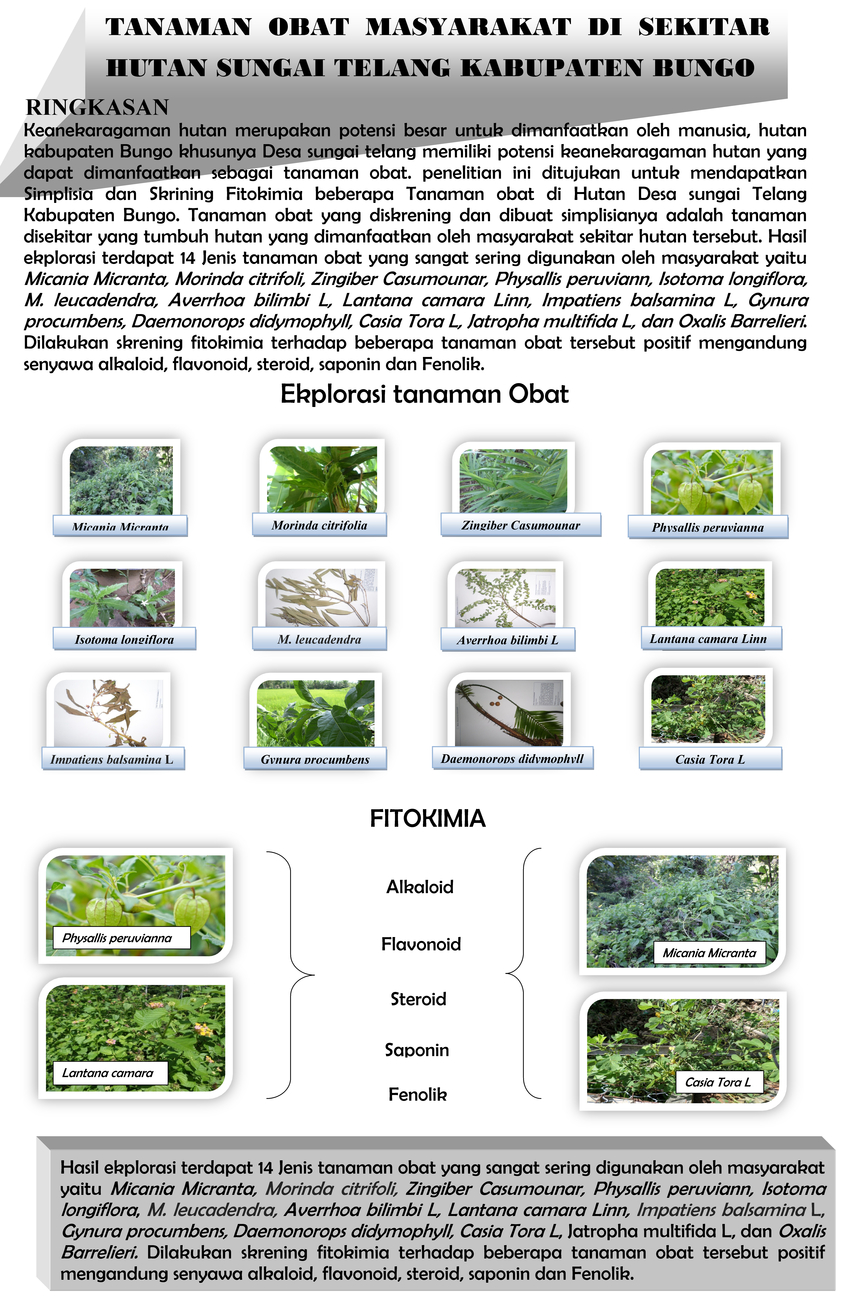 (PDF) Tanaman Obat