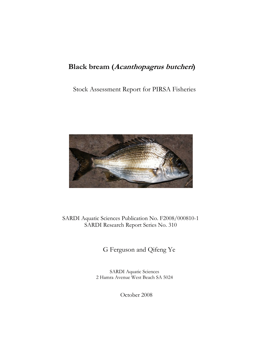 PDF) Black bream (Acanthopagrus butcheri) Stock Assessment Report for PIRSA  Fisheries