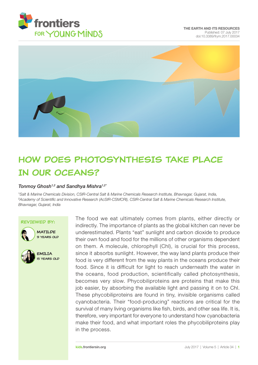 (PDF) How Does Photosynthesis Take Place in Our Oceans?