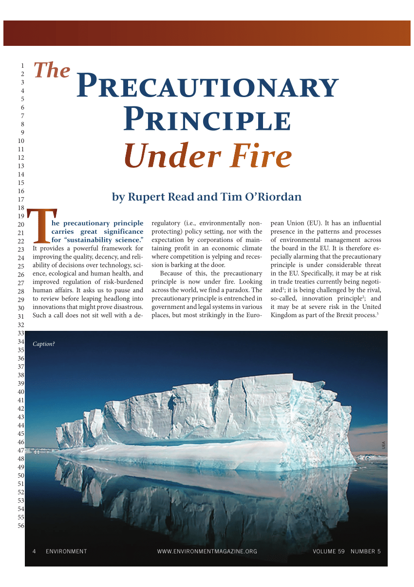 precautionary principle in environmental law pdf