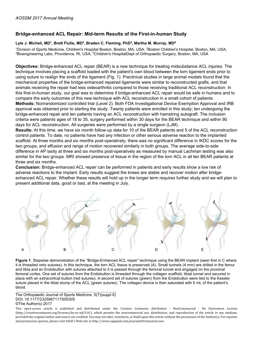 (PDF) Bridgeenhanced ACL Repair Midterm Results of the