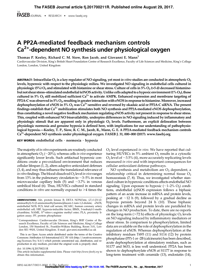 Pdf A Pp2a Mediated Feedback Mechanism Controls Ca 2 Dependent No Synthesis Under Physiological Oxygen