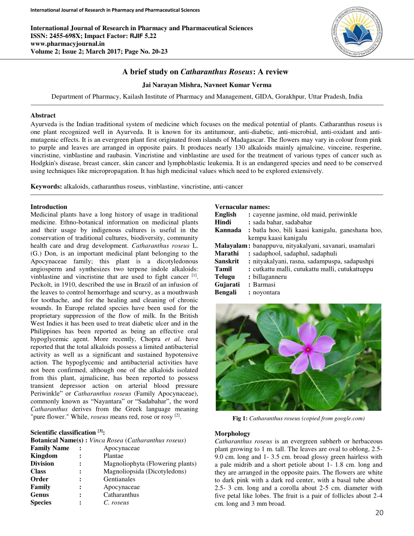 pdf) a brief study on catharanthus roseus: a review