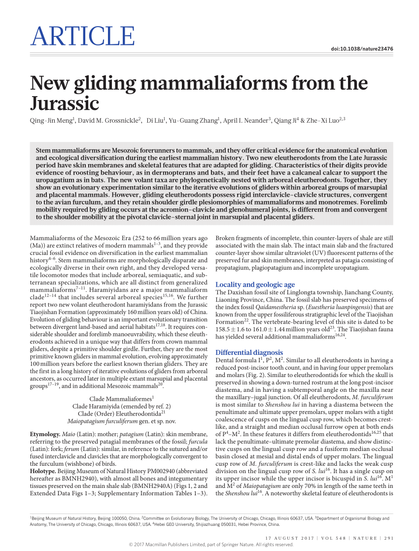 Evolution of shoulder girdle among mammaliaforms. a, b, Sinoconodon
