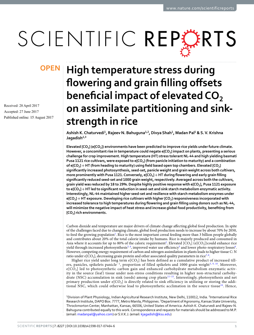 PDF) High temperature stress during flowering and grain filling 