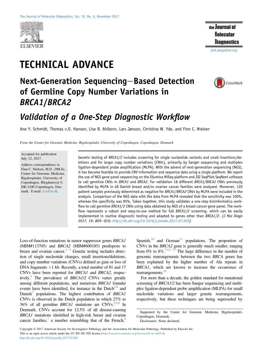 Pdf Next Generation Sequencing Based Detection Of Germline Copy Number Variations In Brca1 Brca2 Validation Of A One Step Diagnostic Workflow