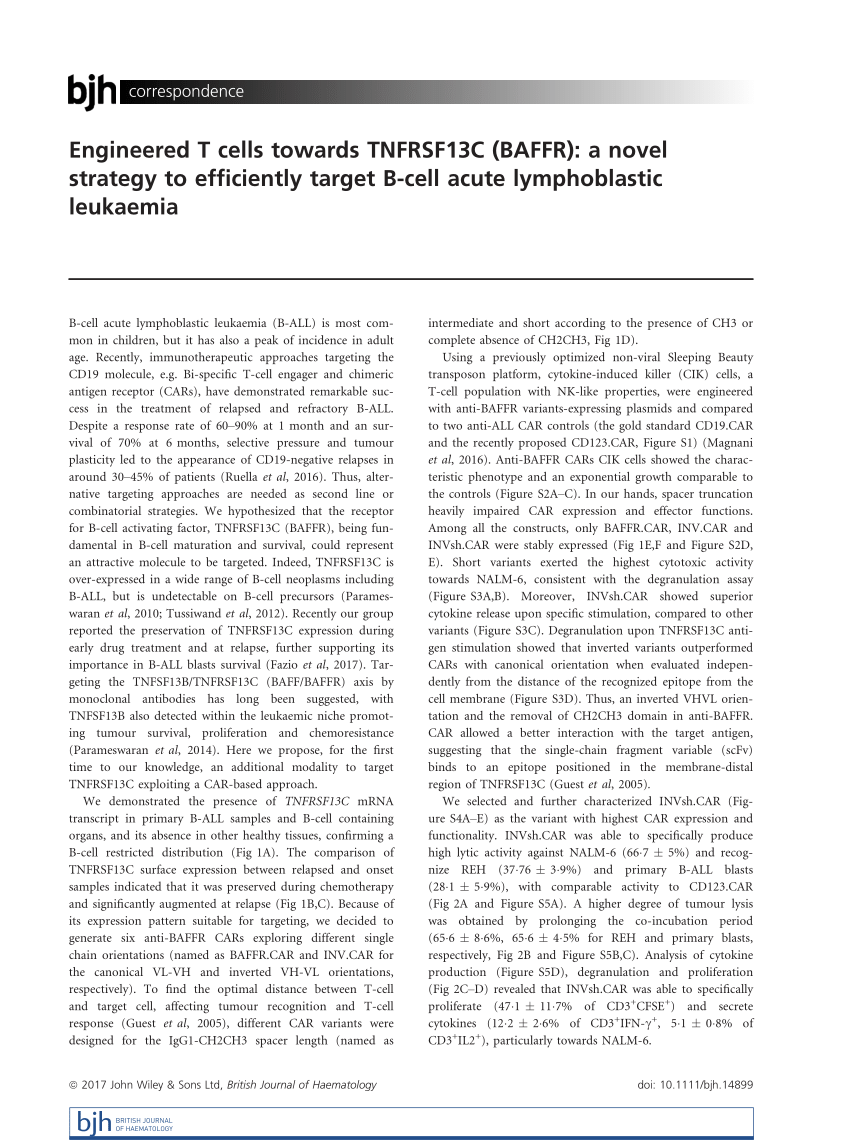 (PDF) Engineered T cells towards TNFRSF13C (BAFFR): a novel strategy to