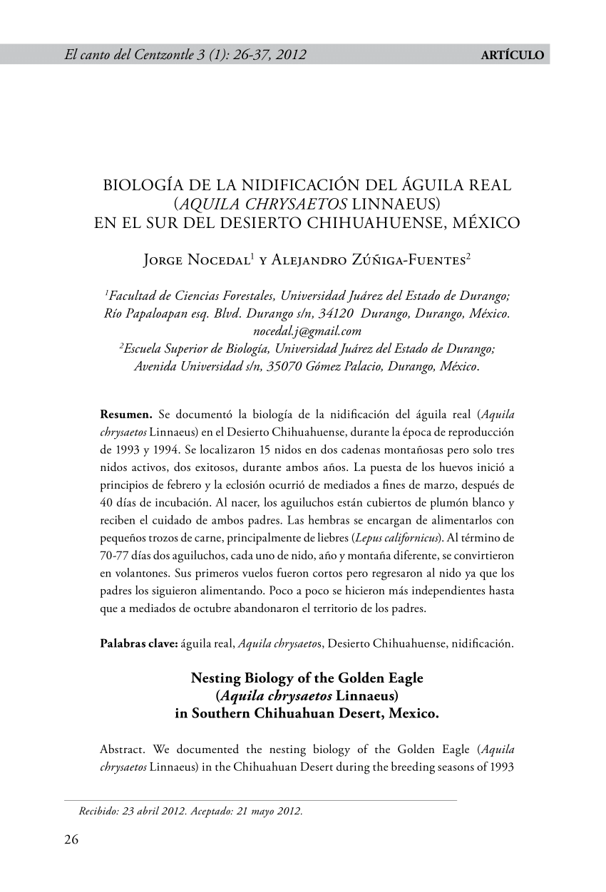 PDF) Biología de la nidificación del águila real (Aquila chrysaetos  Linnaeus) en el sur del Desierto Chihuahuense, México