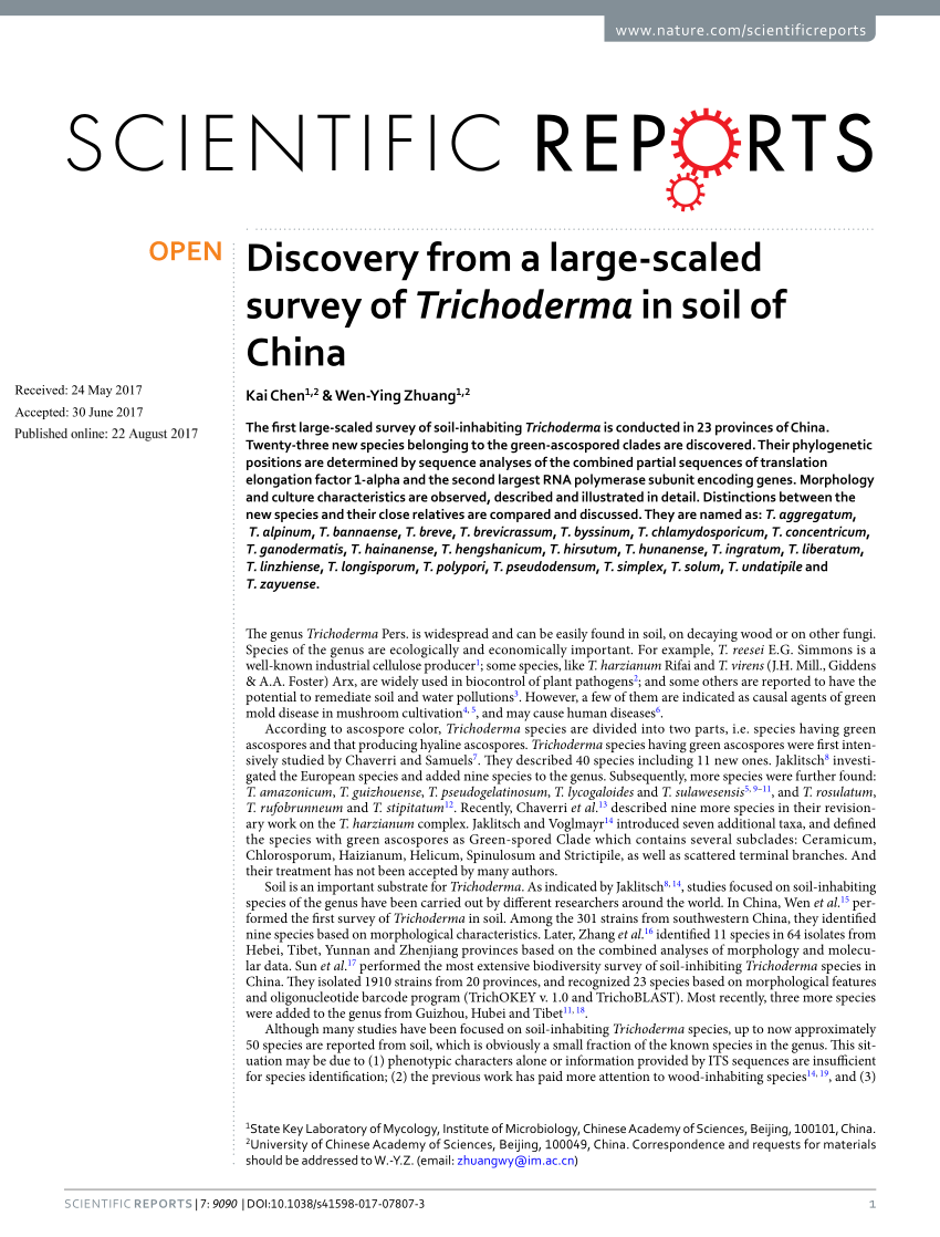 PDF) Discovery from a large-scaled survey of Trichoderma in soil 