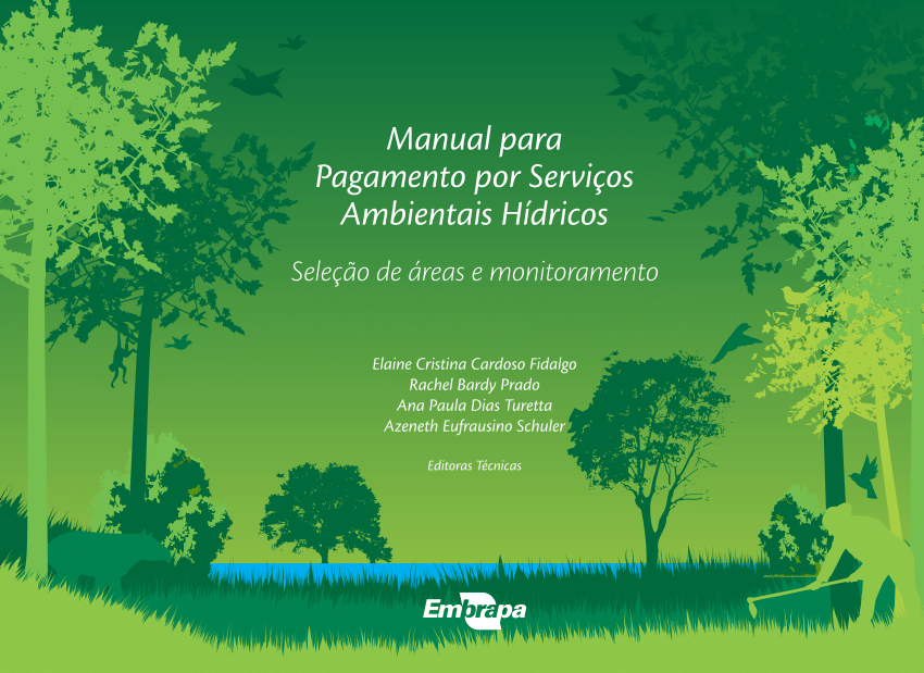 PDF) Pagamentos por Serviços Ambientais na Mata Atlântica: Lições