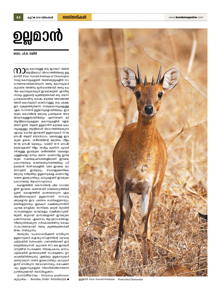 (PDF) Four horned Antelope