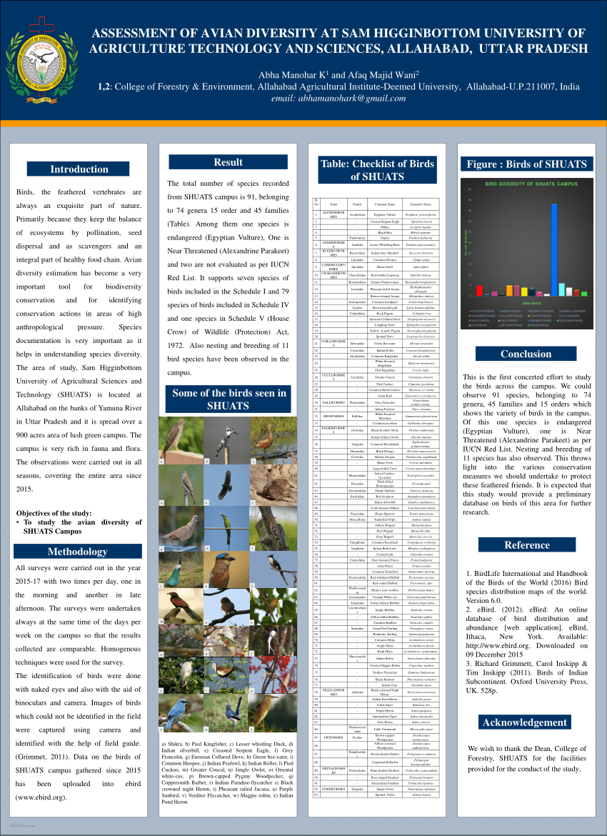 avian diversity research paper