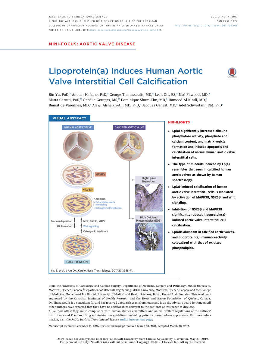 Pdf Lipoprotein A Induces Human Aortic Valve Interstitial Cell Calcification