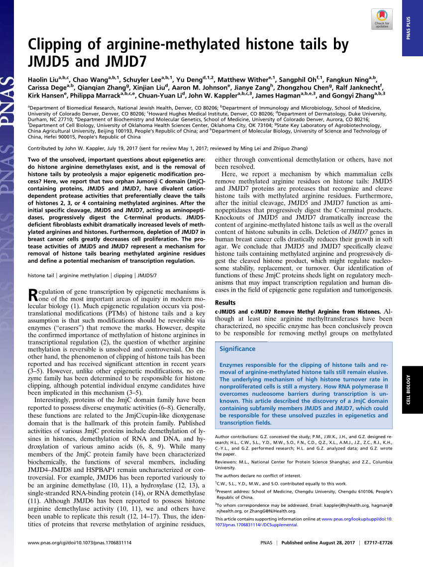 Article Sizing Tool Pnas