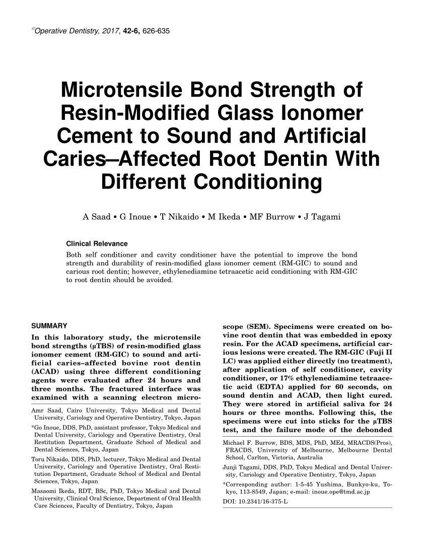 resin modified glass ionomer cement pdf