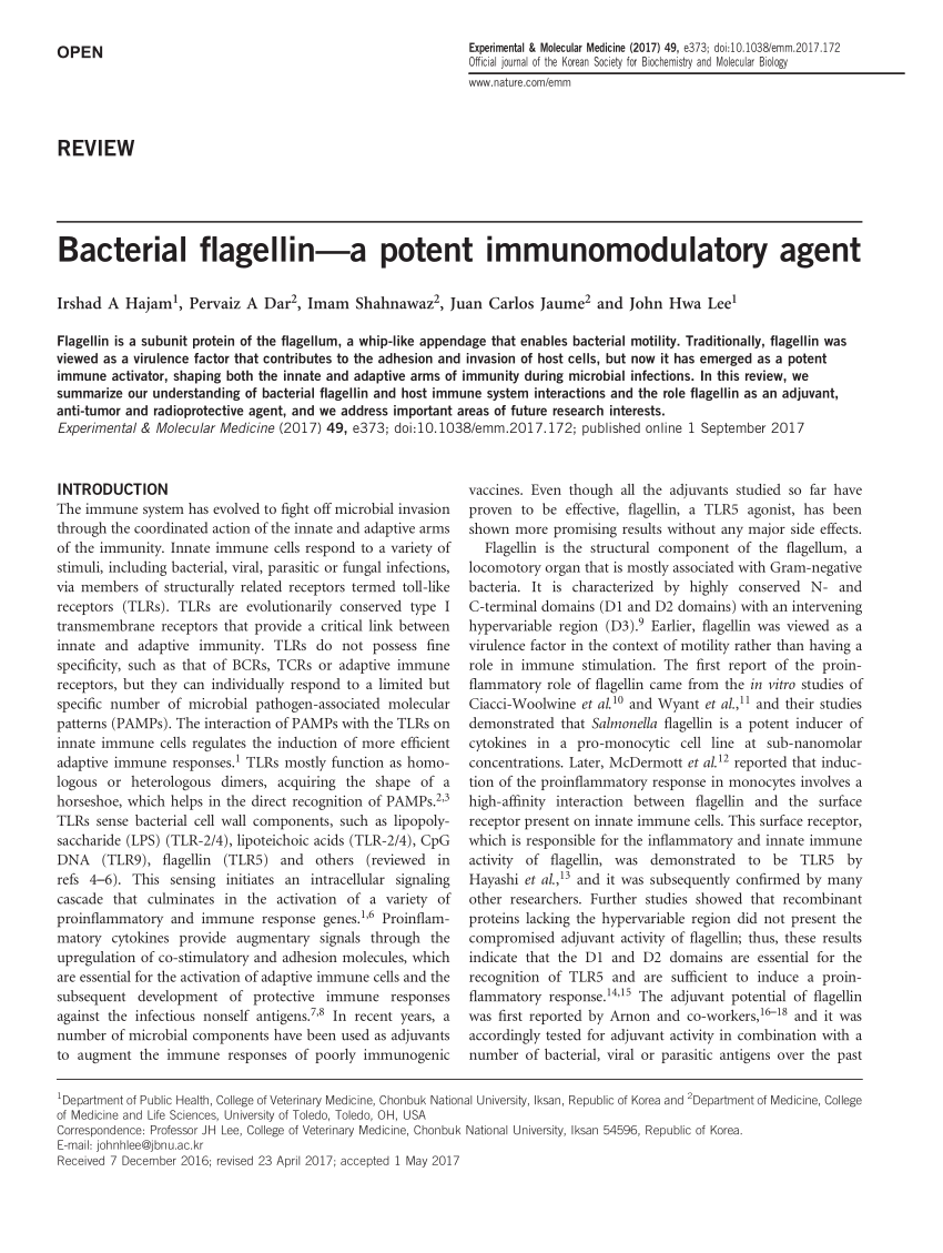 Pdf Bacterial Flagellin A Potent Immunomodulatory Agent