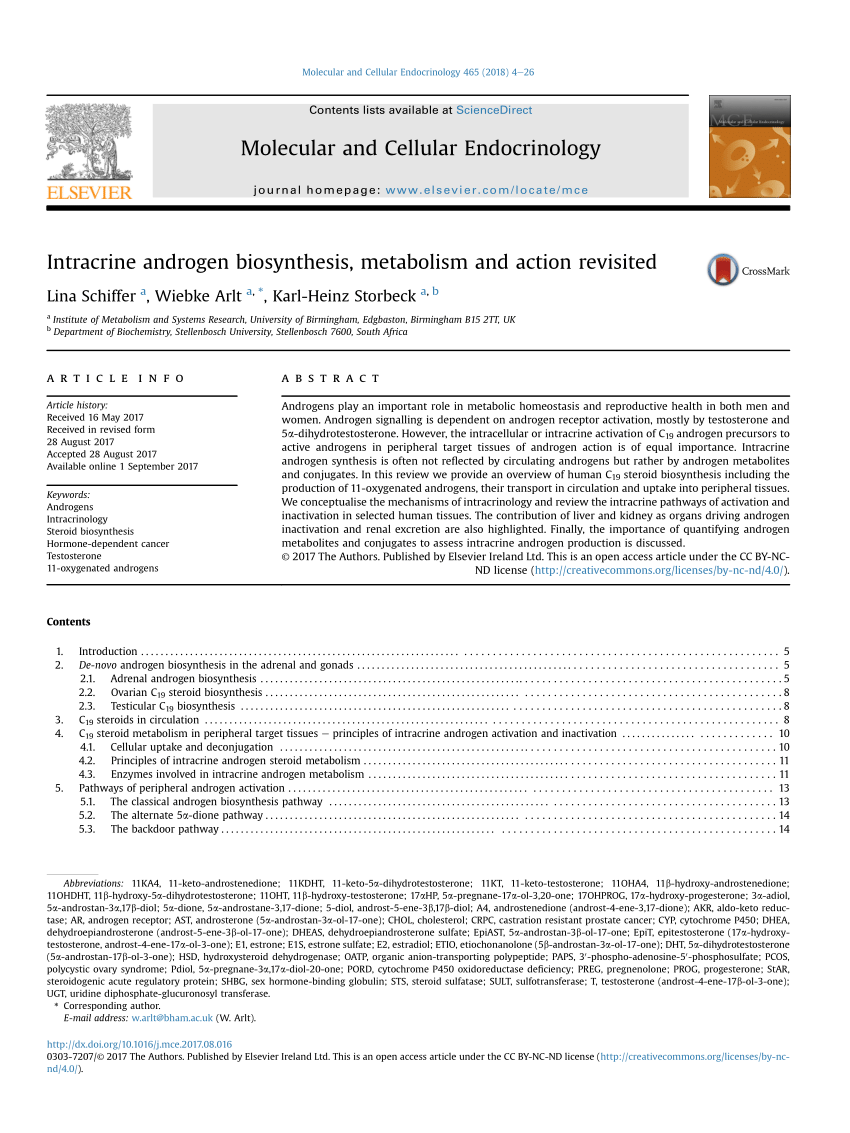 Pdf Intracrine Androgen Biosynthesis Metabolism And Action Revisited