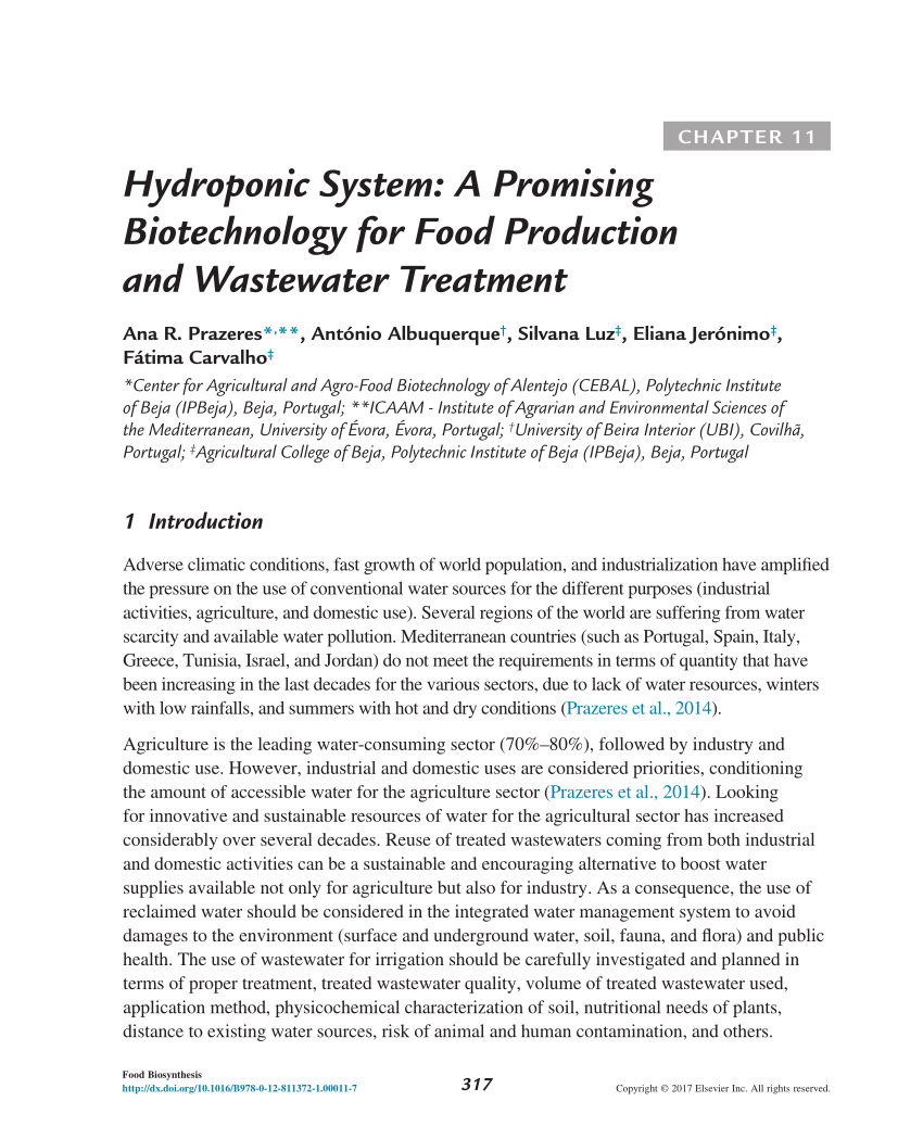 Pdf Hydroponic System A Promising Biotechnology For Food Production And Wastewater Treatment