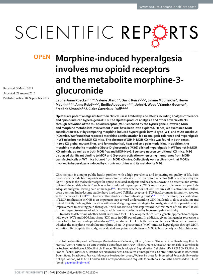 Pdf Morphine Induced Hyperalgesia Involves Mu Opioid Receptors And The Metabolite Morphine 3 Glucuronide