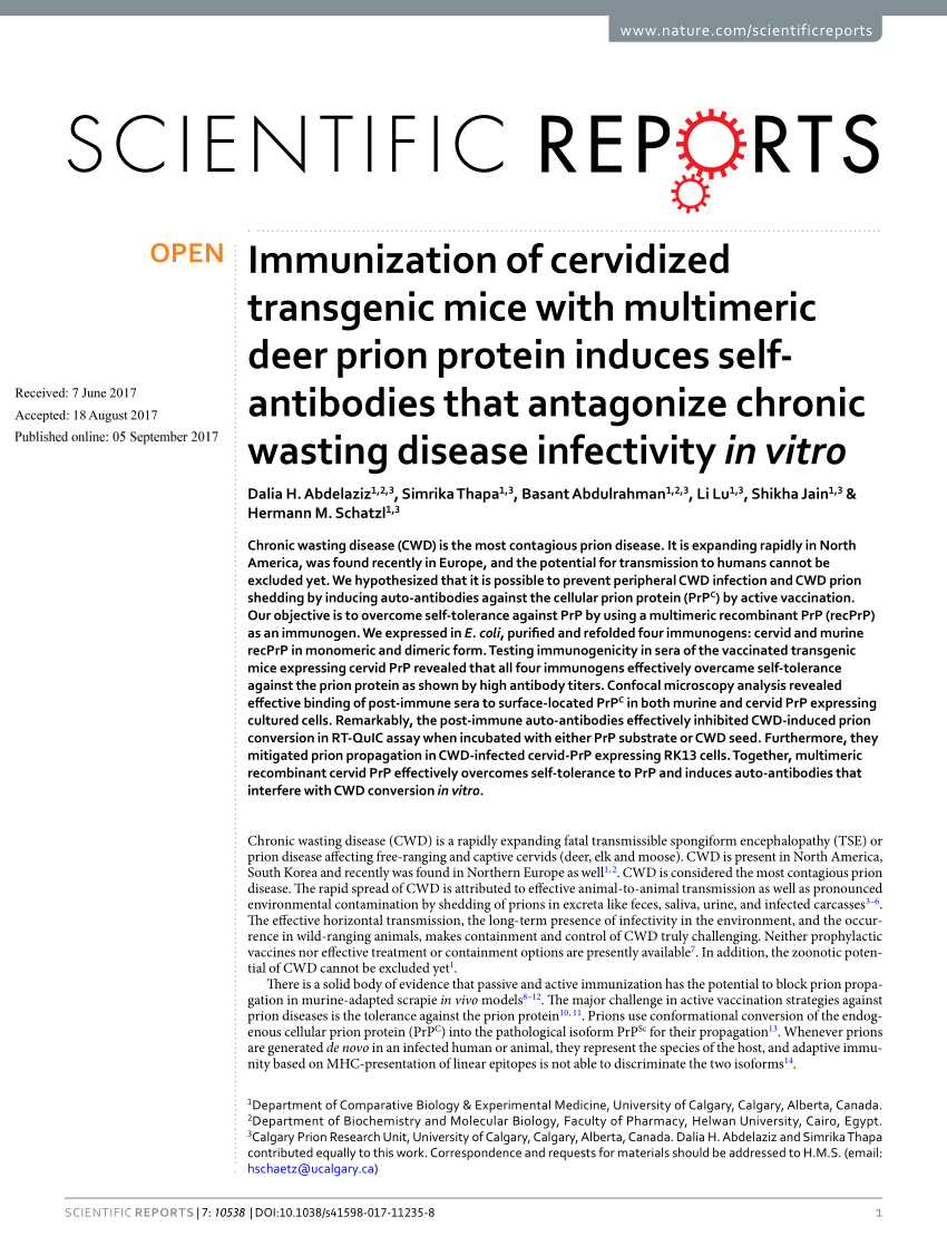 PDF) Immunization of cervidized transgenic mice with multimeric
