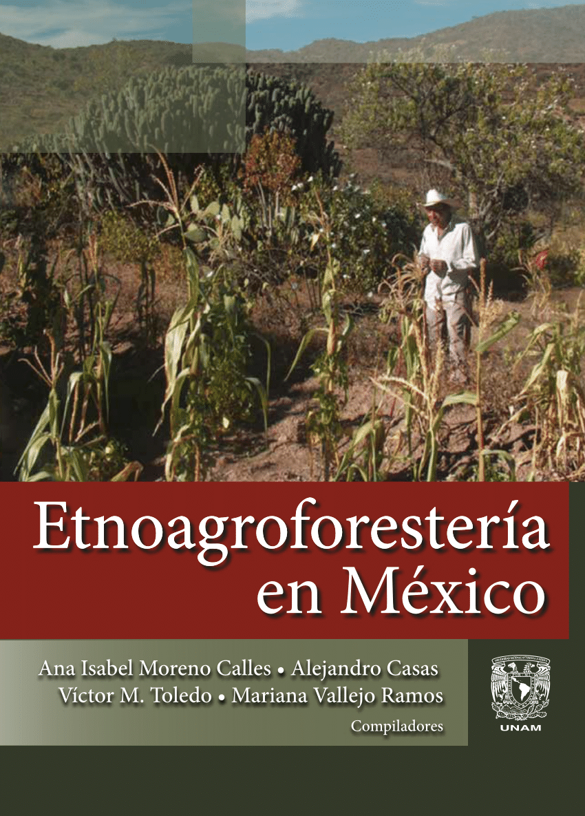 (PDF) El agrobosque de piña en el occidente de México: ecología, manejo ...