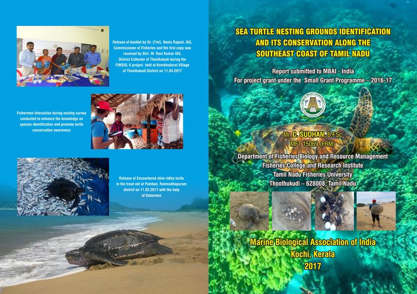 Pdf Sea Turtle Nesting Ground Identification And Its Conservation Status Along Southeast Coast 