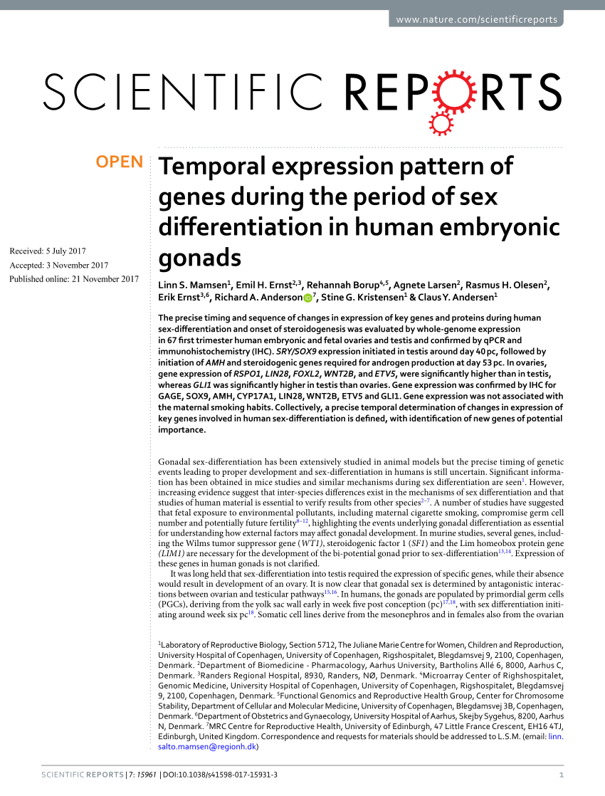 Pdf Differentiation Of The Human Gonad Sex Specific Differences In