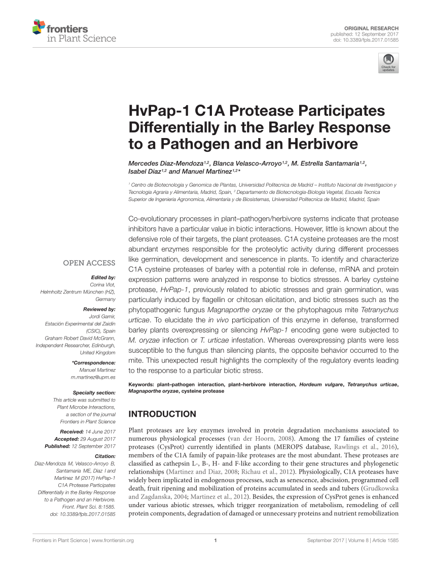 Frontiers  HvPap-1 C1A Protease Participates Differentially in the Barley  Response to a Pathogen and an Herbivore