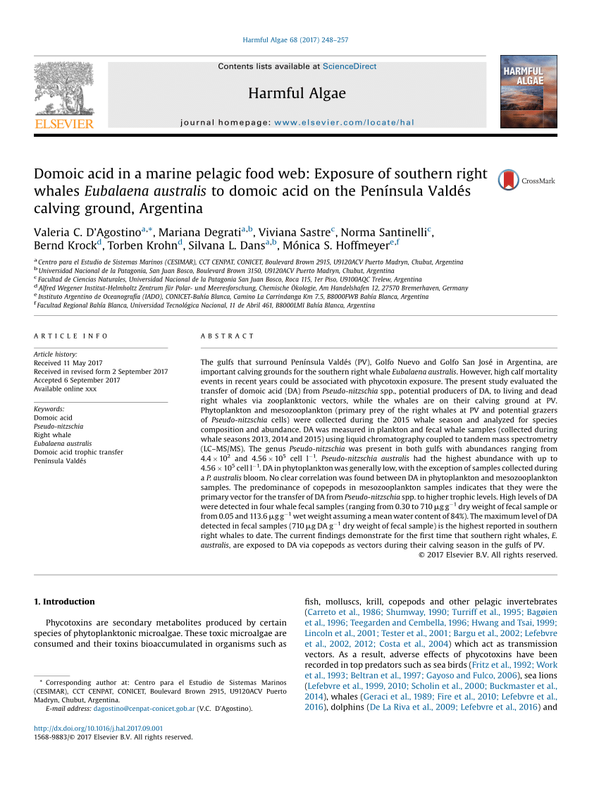 (PDF) Domoic acid in a marine pelagic food web: Exposure of southern