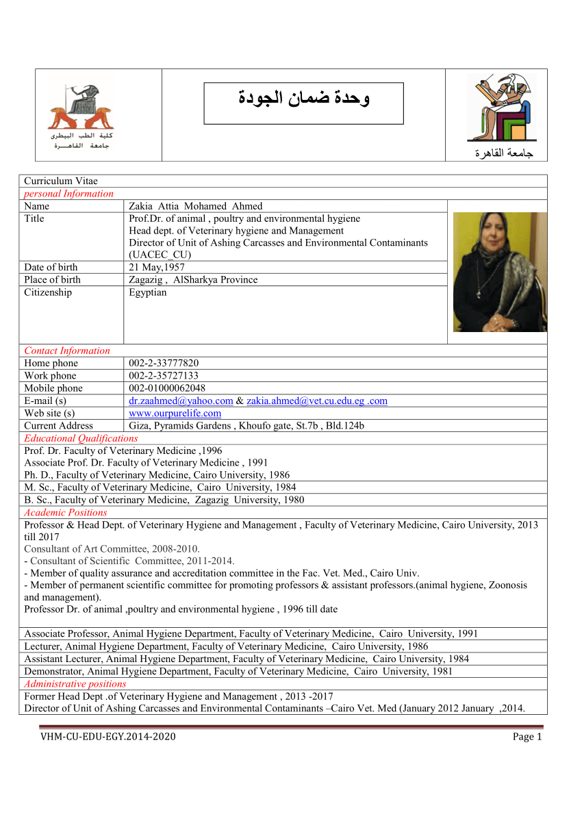 Dating profile template in Cairo