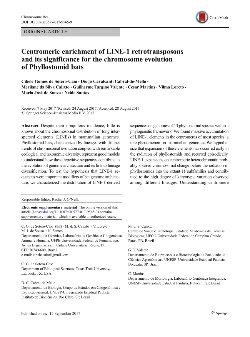 Pdf Centromeric Enrichment Of Line 1 Retrotransposons And Its Significance For The Chromosome Evolution Of Phyllostomid Bats