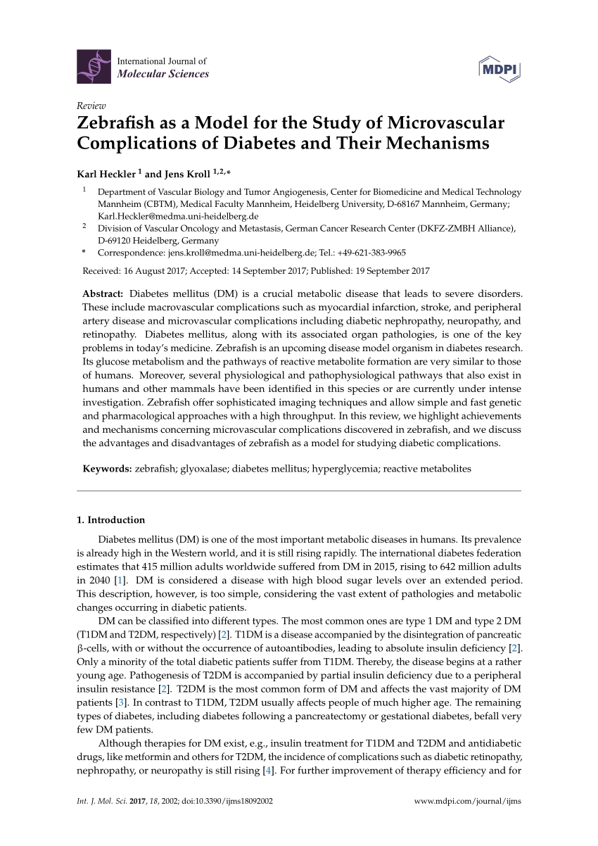 PDF) Zebrafish as a Model for the Study of Microvascular Complications of  Diabetes and Their Mechanisms