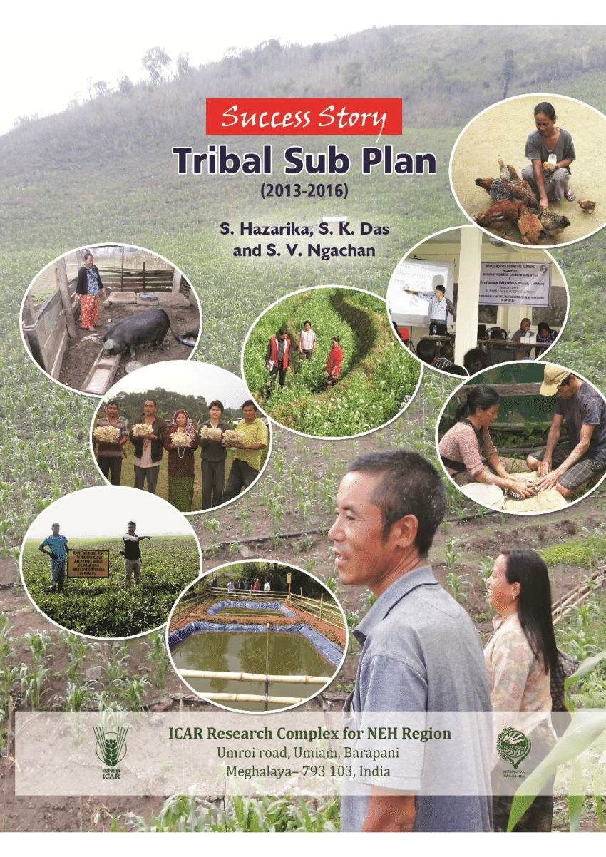 tribal wars op plan script