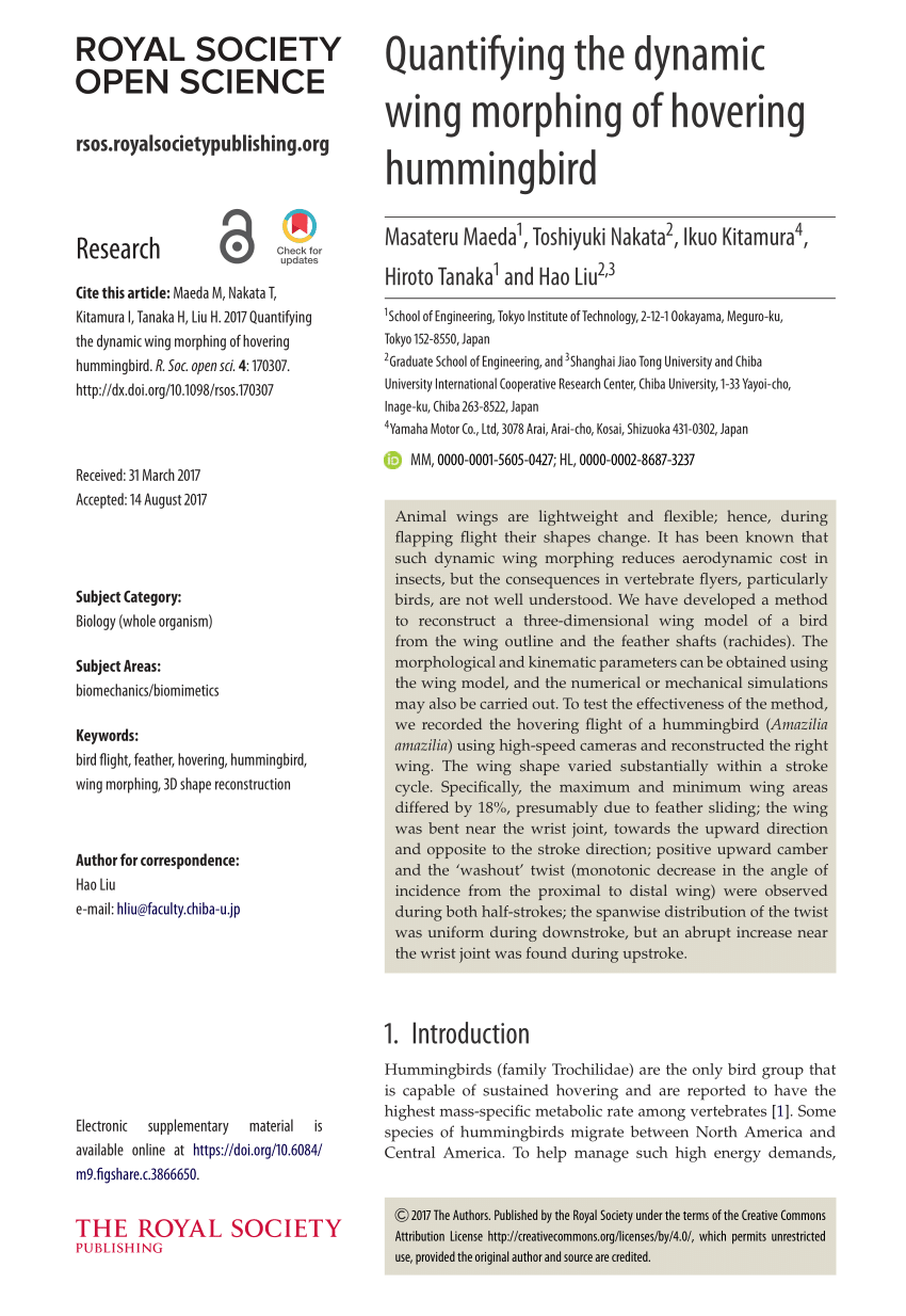 PDF) Quantifying the dynamic wing morphing of hovering hummingbird