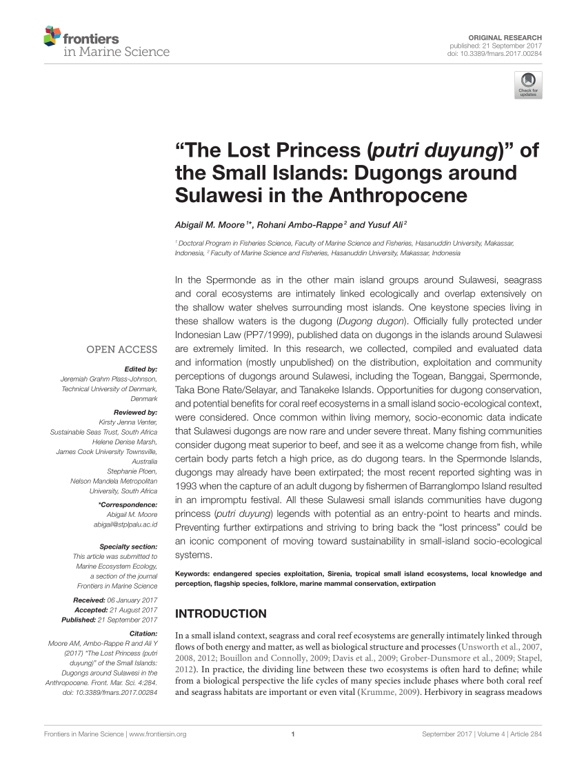 PDF) “The Lost Princess (putri duyung)” of the Small Islands Dugongs around Sulawesi in the Anthropocene photo picture