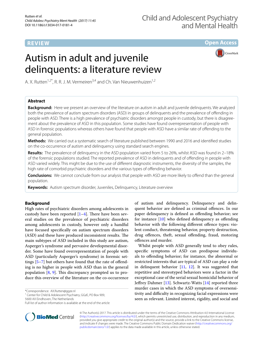literature review on autism