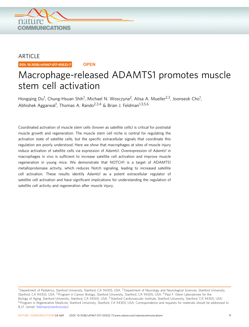 (PDF) Macrophage-released ADAMTS1 promotes muscle stem cell