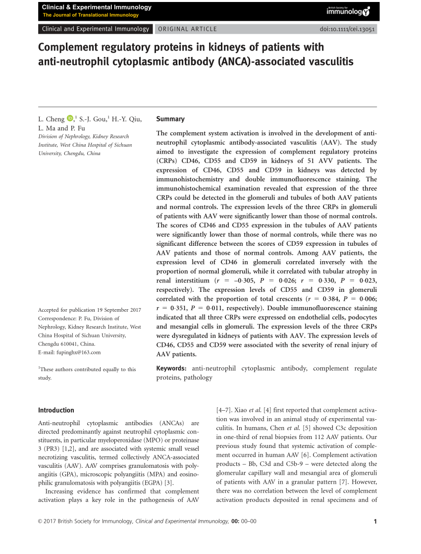 Pdf Complement Regulatory Proteins In Kidneys Of Patients With Anti Neutrophil Cytoplasmic Antibody Anca Associated Vasculitis Complement Regulatory Proteins In v