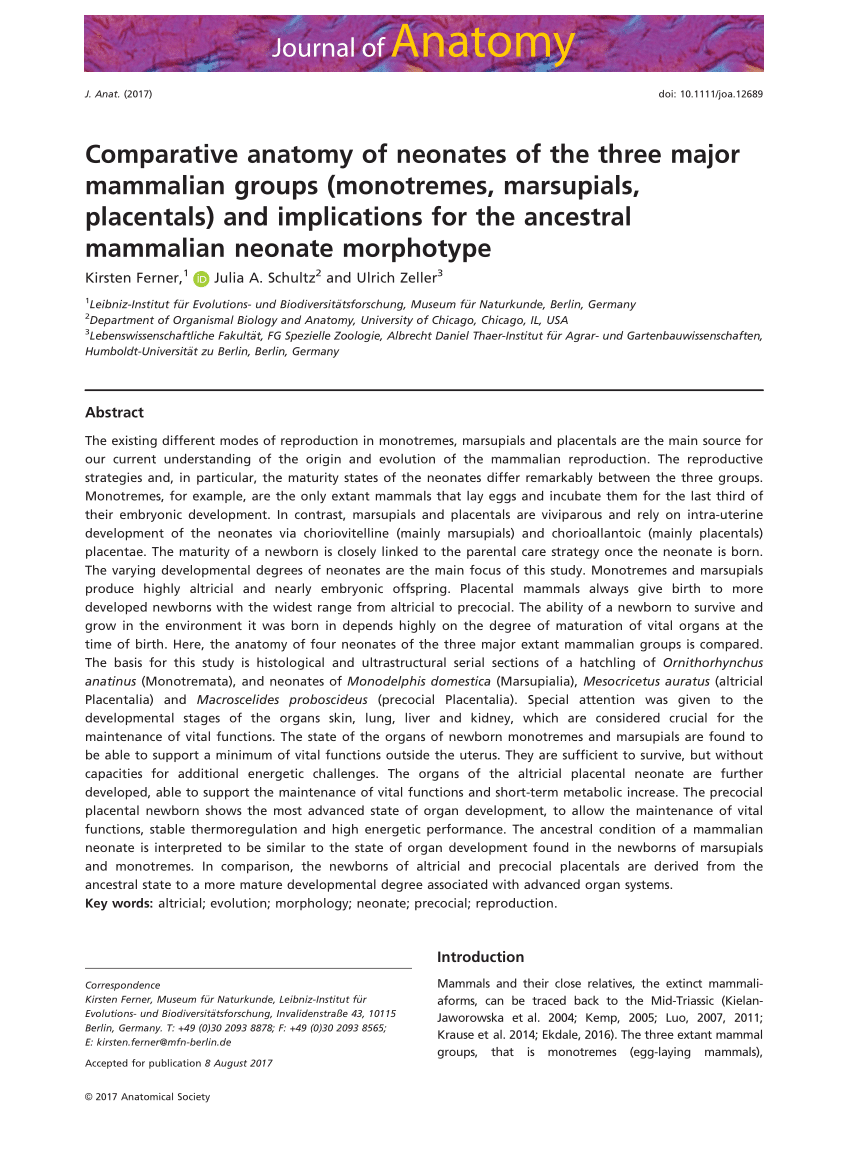 (PDF) Comparative anatomy of neonates of the three major mammalian