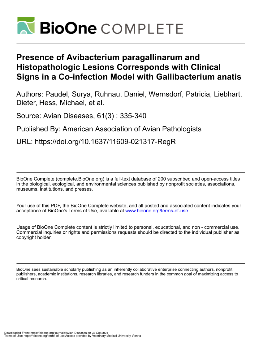 PDF) Presence of Avibacterium paragallinarum and Histopathologic Lesions  Corresponds with Clinical Signs in a Co-infection Model with Gallibacterium  anatis