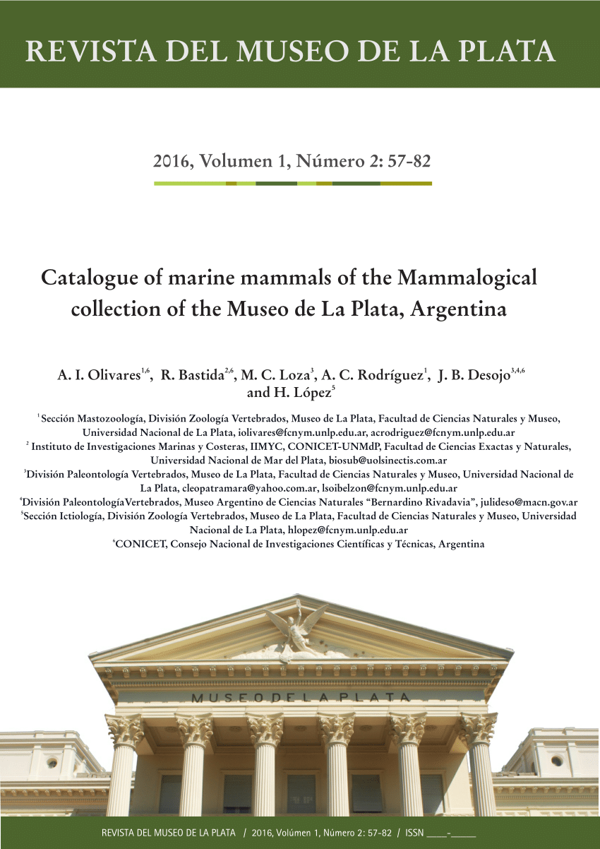 (PDF) Catalogue of marine mammals of the Mammalogical collection of the