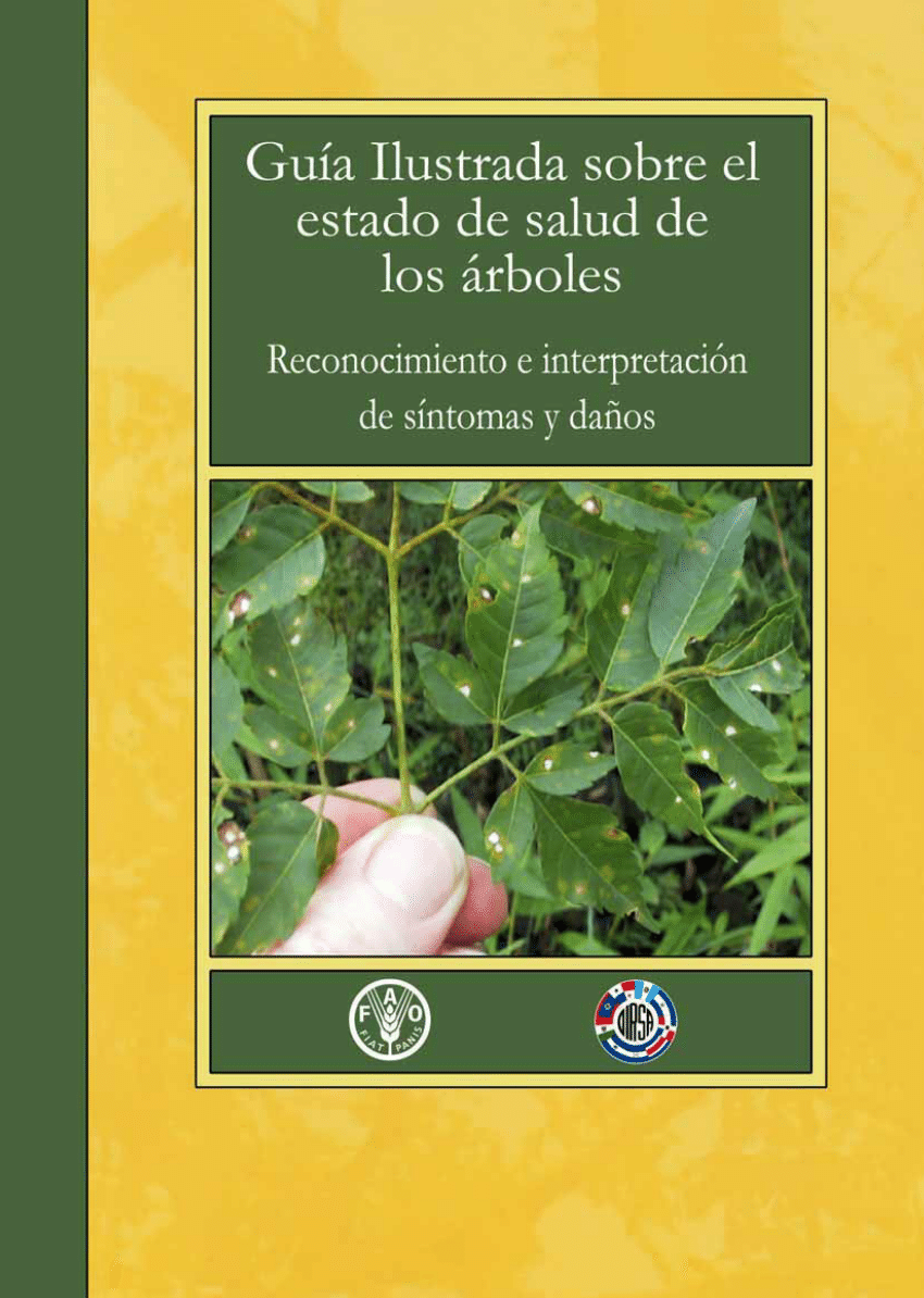 PDF) Guía Ilustrada sobre el estado de salud de los árboles. Reconocimiento  e interpretación de síntomas y daños.