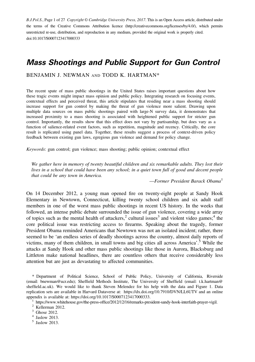 gun control summary essay