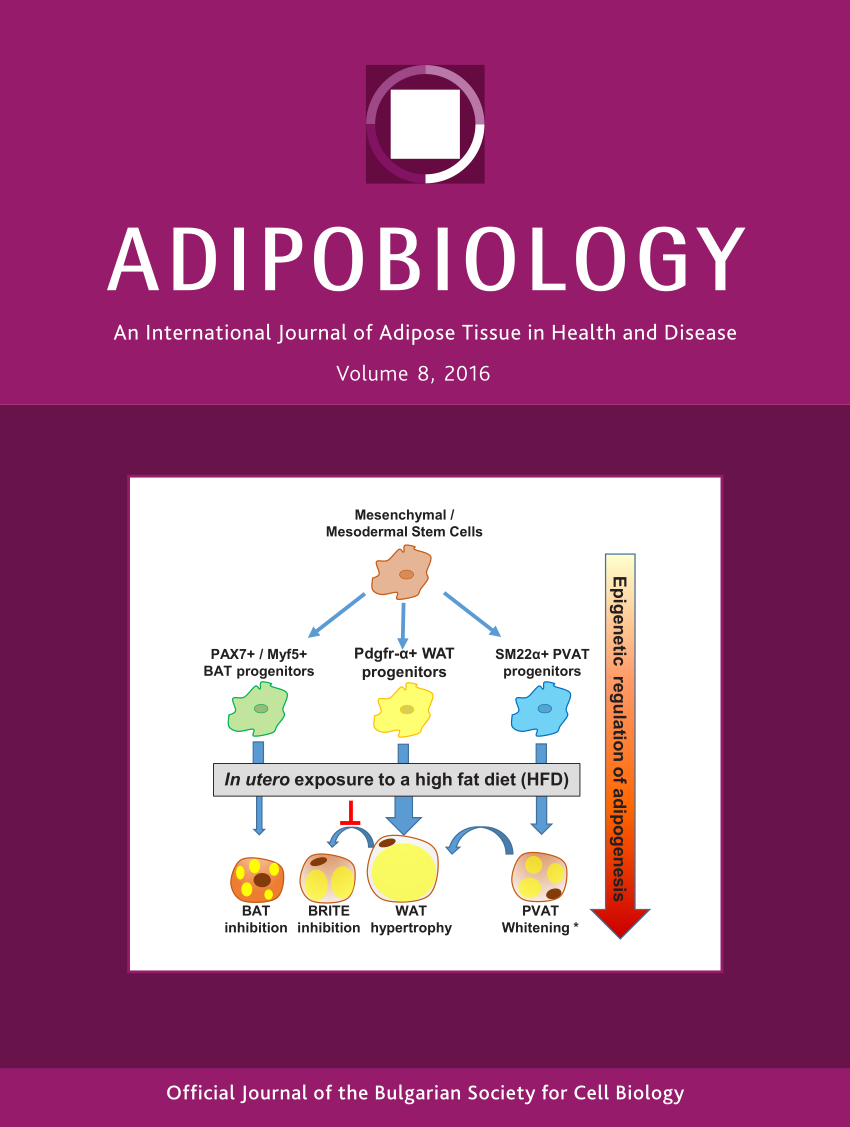 PDF) 2016 issue of Adipobiology, welcome to submit your MS before 5  December to be considered for publication in 2017 issue of the journal  (online edition)