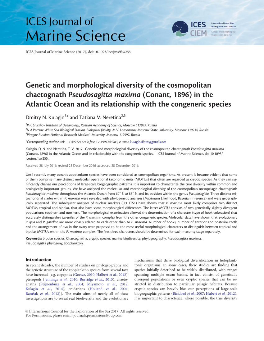 Exploring the significance of morphological diversity for