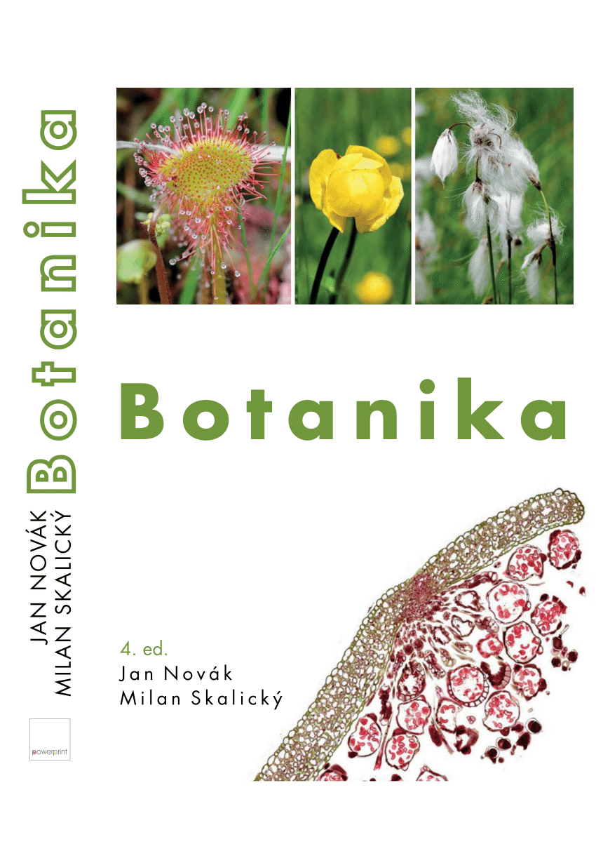botanikai fogyókúra jp