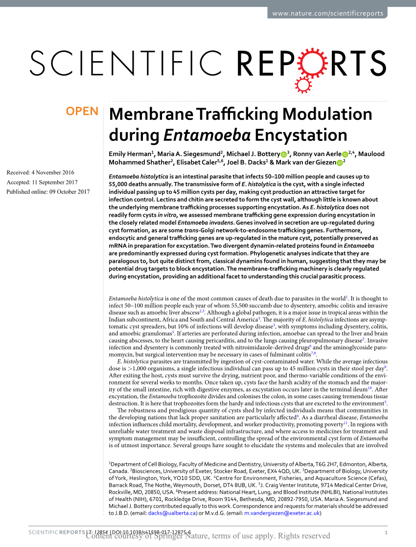 Trafficking during Entamoeba Encystation